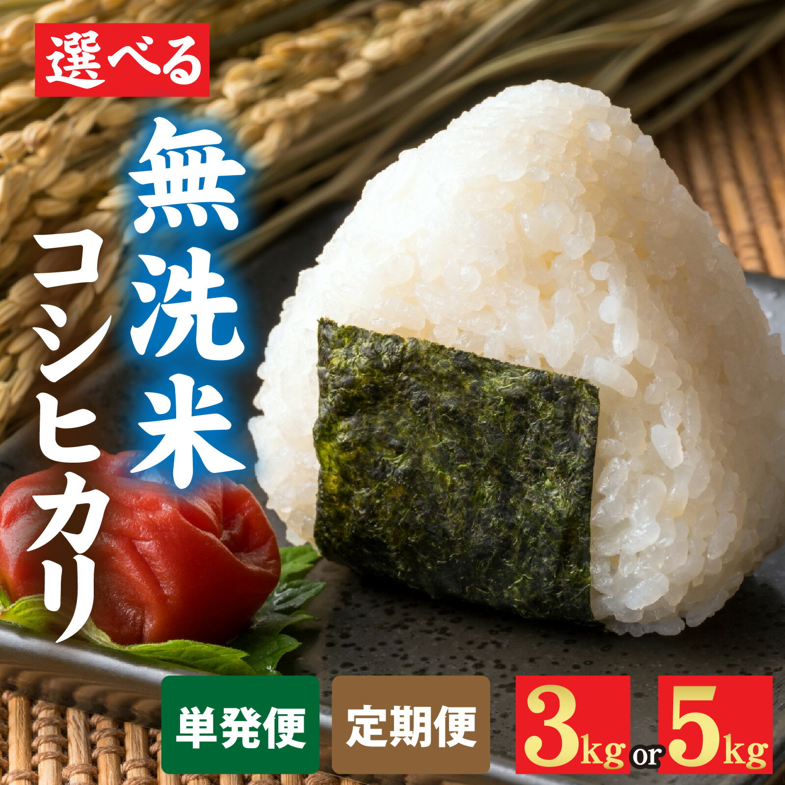 令和7年産 福井市産コシヒカリ みやま米 選べる3kg 5kg 選べる配送回数【天然の山水だけで育てたお米】/ 米 こしひかり 福井県 福井市 無洗米 令和7年 令和七年 7年産 7年 こめ コメ 12か月 [A-168003]