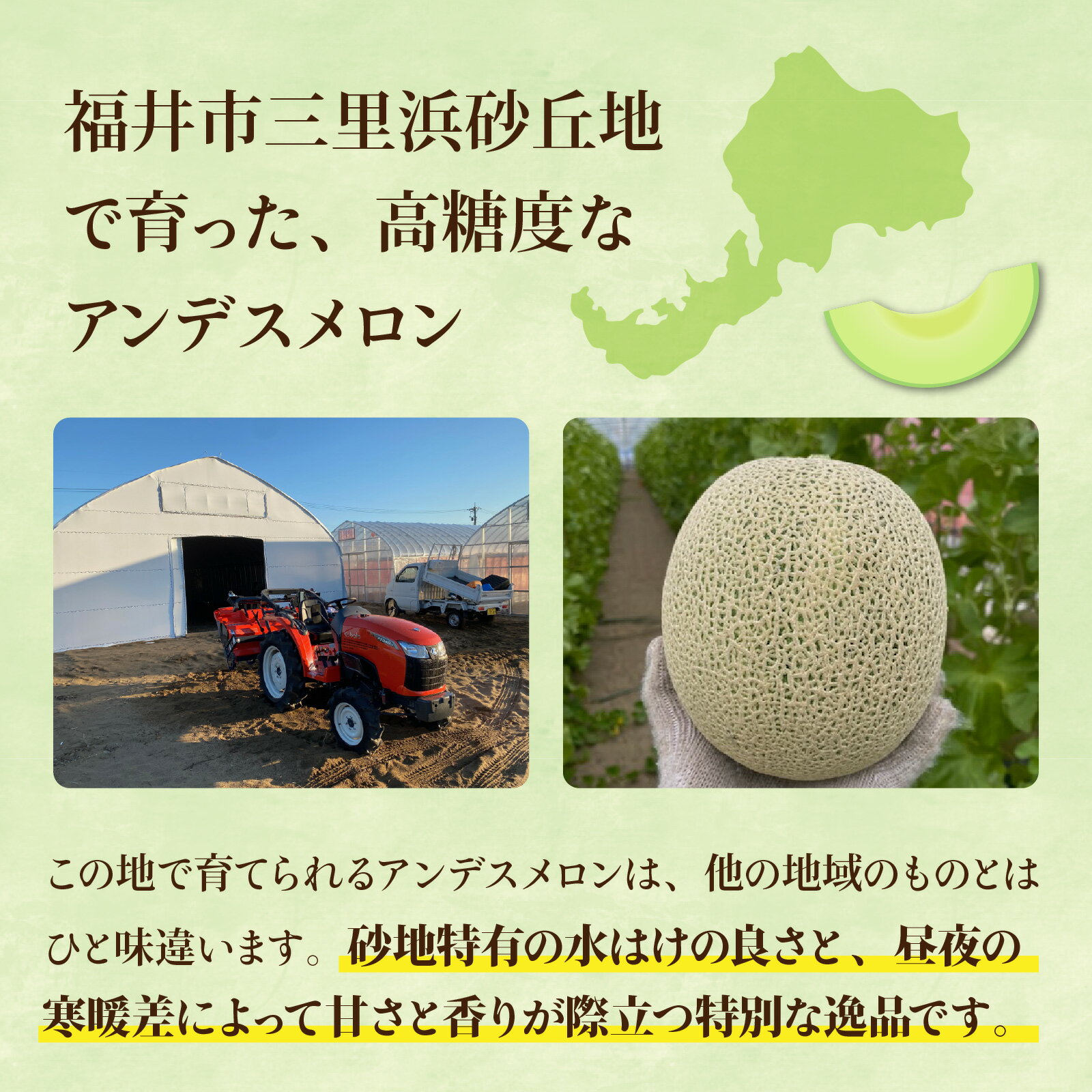 【ふるさと納税】【先行予約】【訳あり】立体栽培の甘味凝縮アンデスメロン [A-180001] 【2026年6月下旬発送予定】【福井市三里浜砂丘地産】2L～5Lサイズ　2～3玉入り　約3Kg以上 / メロン アンデス めろん フルーツ 果肉 スイーツ 旬 福井 青肉 3L 4L 5L 2玉 3玉 3kg サムネイル2