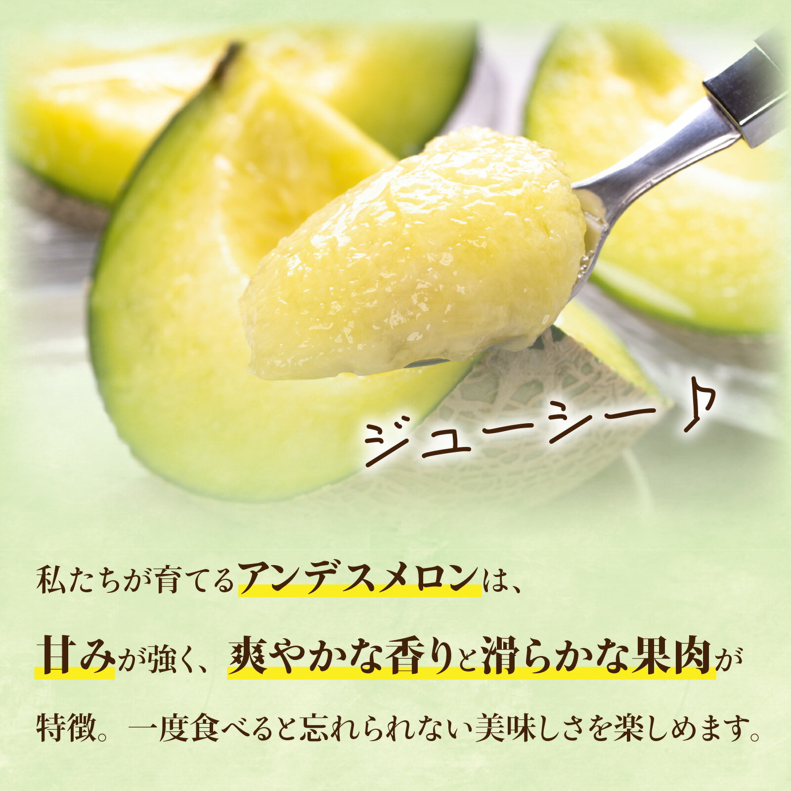 【ふるさと納税】【先行予約】【訳あり】立体栽培の甘味凝縮アンデスメロン [A-180001] 【2026年6月下旬発送予定】【福井市三里浜砂丘地産】2L～5Lサイズ　2～3玉入り　約3Kg以上 / メロン アンデス めろん フルーツ 果肉 スイーツ 旬 福井 青肉 3L 4L 5L 2玉 3玉 3kg サムネイル3