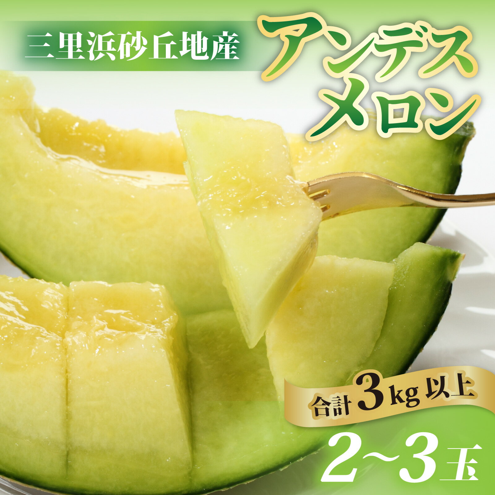 【先行予約】【訳あり】立体栽培の甘味凝縮アンデスメロン [A-180001] 【2026年6月下旬発送予定】【福井市三里浜砂丘地産】2L～5Lサイズ　2～3玉入り　約3Kg以上 / メロン アンデス めろん フルーツ 果肉 スイーツ 旬 福井 青肉 3L 4L 5L 2玉 3玉 3kg