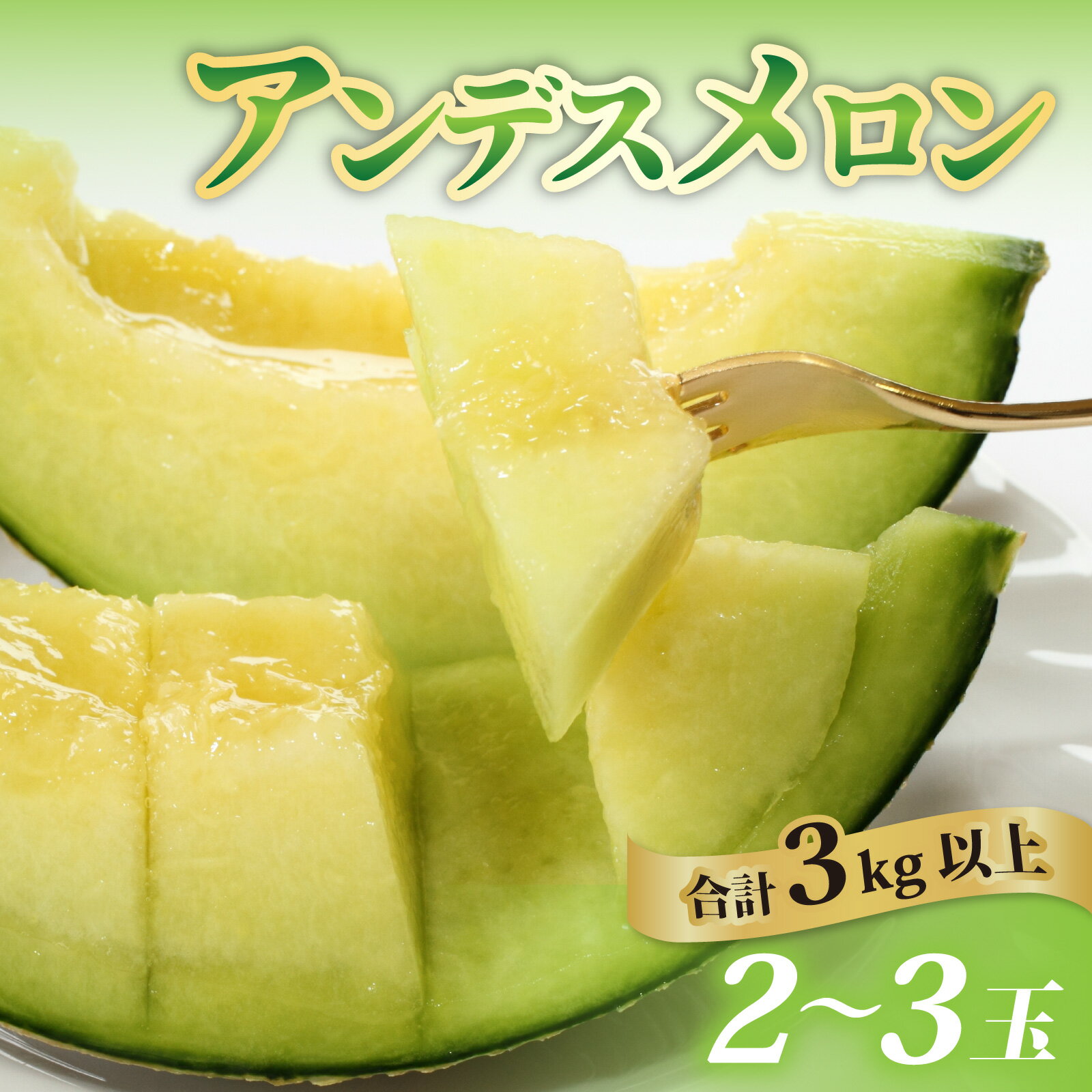 【先行予約】【訳あり】立体栽培の甘味凝縮アンデスメロン [A-180001] 【2026年6月下旬発送予定】【福井市三里浜砂丘地産】2L～5Lサイズ　2～3玉入り　約3Kg以上 / メロン アンデス めろん フルーツ 果肉 スイーツ 旬 福井 青肉 3L 4L 5L 2玉 3玉 3kg