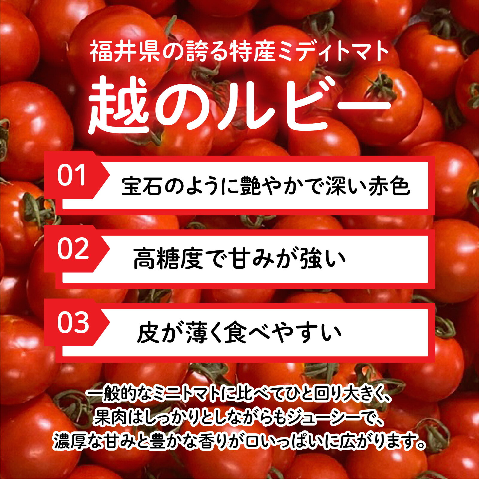 【ふるさと納税】トマト フルーツトマト /【先行予約】 甘くて皮が薄く食べやすい　福井市産ミディトマト『越のルビー』【2026年6月上旬より順次発送予定】[A-180002] / トマト 1kg 2kg 農家直送 とまと ミニトマト 野菜 やさい 新鮮 産地直送 甘い 完熟 ミディトマト - 画像3