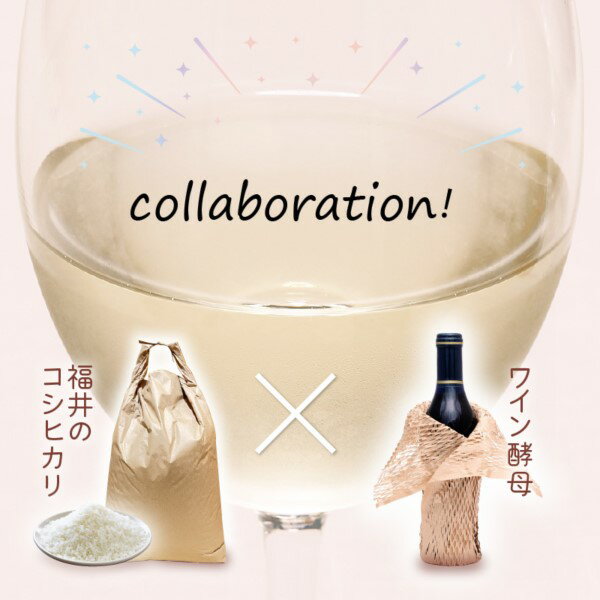 【ふるさと納税】【日本酒】PURE RICE WINE 720ml×2本(純米ワイン)【新感覚！ワインのような日本酒】 / ワイン 飲料 お酒 純米酒 こしひかり 白ワインタイプ ピュアライスワイン 田嶋酒造 送料無料 [A-008009] サムネイル2