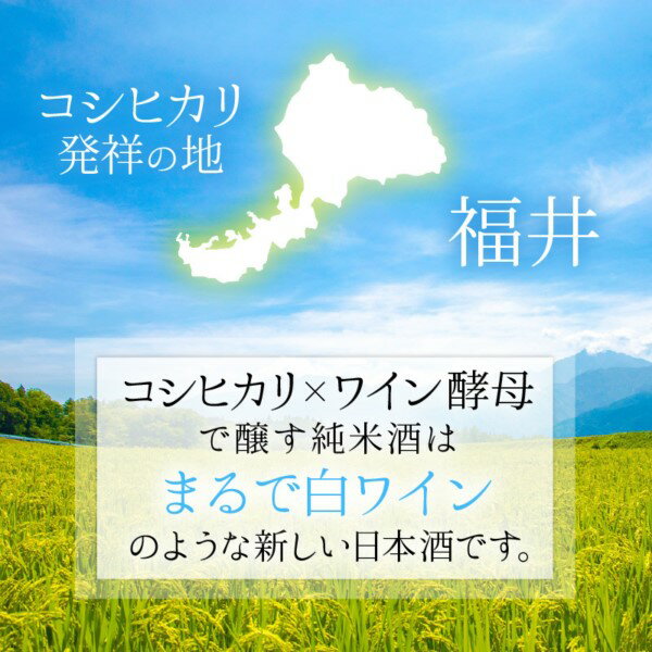 【ふるさと納税】【日本酒】PURE RICE WINE 720ml×2本(純米ワイン)【新感覚！ワインのような日本酒】 / ワイン 飲料 お酒 純米酒 こしひかり 白ワインタイプ ピュアライスワイン 田嶋酒造 送料無料 [A-008009] サムネイル3