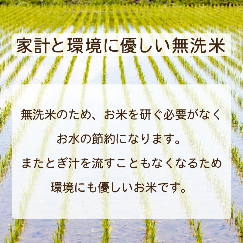 【ふるさと納税】令和7年度産 無洗米 5kg 福井県産 コシヒカリ 発祥の地で心を込めて栽培されたコシヒカリ 甘くて艶があり、冷えても美味しい【無地のし対応可】10月以降順次発送【米 コメ こめ こしひかり ブランド 令和7年産 お中元 お歳暮 ギフト 贈り物 プレゼント】 - 画像3