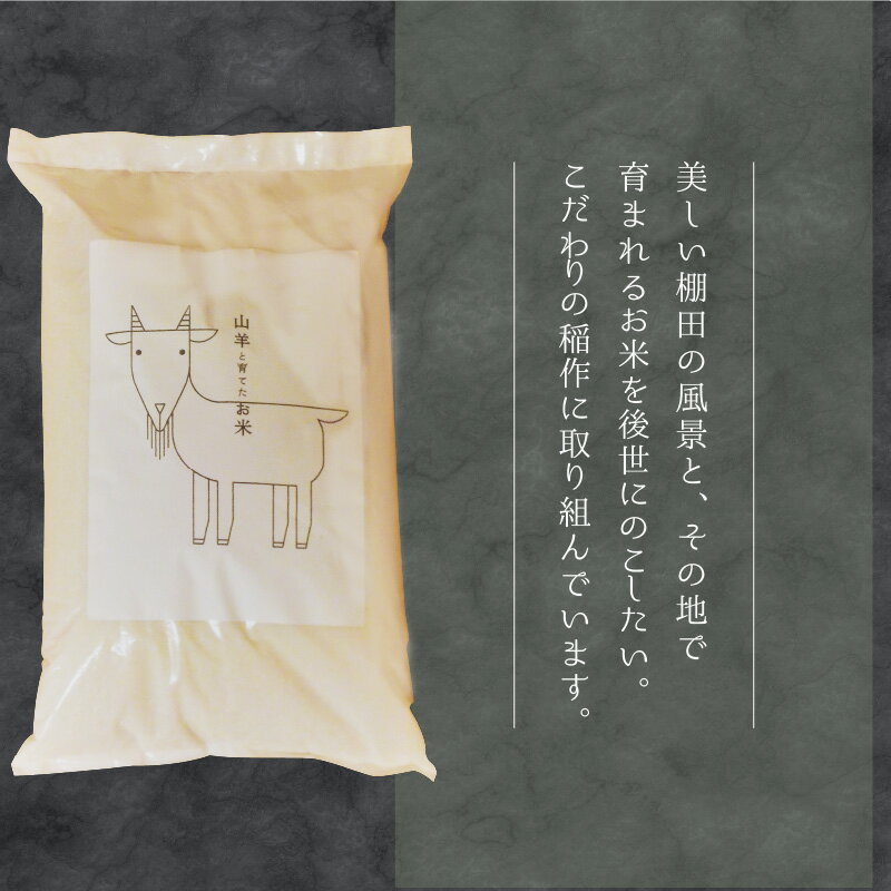 【ふるさと納税】令和7年産 山羊と育てた こだわりの棚田米『ハナエチゼン』10kg (単一原料米) ＜数量限定＞【福井のおいしいお米 お米 米 コメ 白米 精米 棚田米 ごはん ご飯 国産 北陸産 ブランド米 10kg 10キロ】 - 画像2