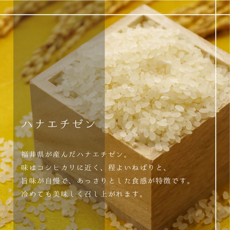 【ふるさと納税】令和7年産 山羊と育てた こだわりの棚田米『ハナエチゼン』10kg (単一原料米) ＜数量限定＞【福井のおいしいお米 お米 米 コメ 白米 精米 棚田米 ごはん ご飯 国産 北陸産 ブランド米 10kg 10キロ】 - 画像3