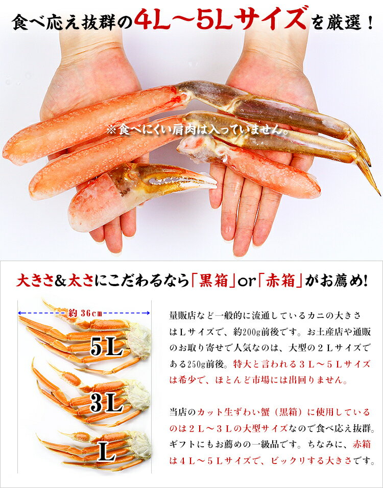 【ふるさと納税】《 着日指定可能 最短3営業日以内発送 》【お刺身 OK】生ずわい蟹 ポーション 1kg （総重量1.3kg）【甲羅組 海鮮 ずわいガニ 蟹 カニ むき身 ポーション 刺し身 お中元 お歳暮 ギフト 赤箱】 - 画像3