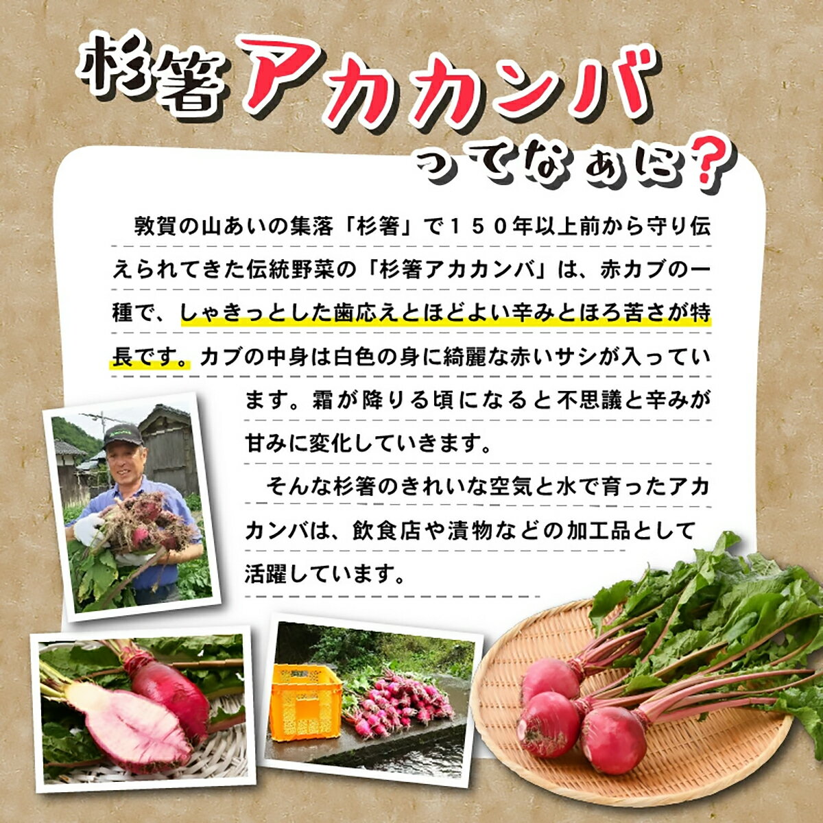 【ふるさと納税】アカカンバ パウダー（葉・実）セット【杉箸アカカンバ 赤かぶ 赤カブ 伝統野菜 加工食品 NEW 新規】 - 画像3