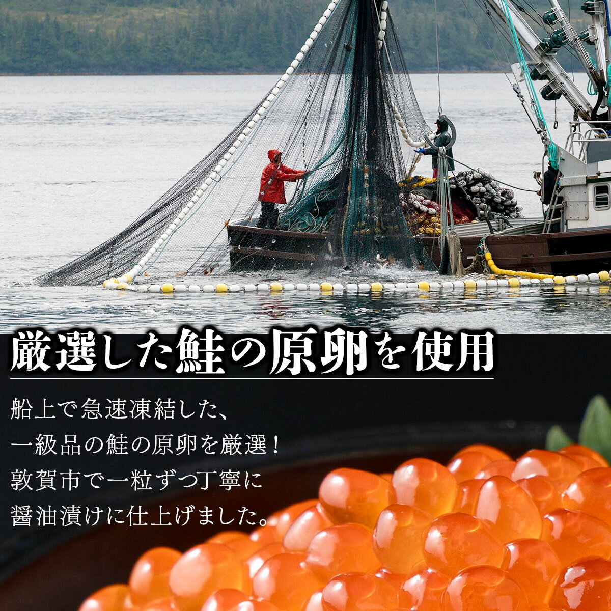 【ふるさと納税】250gあたり7,000円 年内お届け受付中！12月31日までいつでも配送指定OK★ 大粒 鮭いくら 醤油漬け 500g / 1kg 《最短3営業日以内発送・着日指定 可能》【甲羅組 いくら イクラ さけいくら 魚卵 海鮮 海鮮丼 いくら丼 お中元 お歳暮 ギフト NEW 新規】 サムネイル3