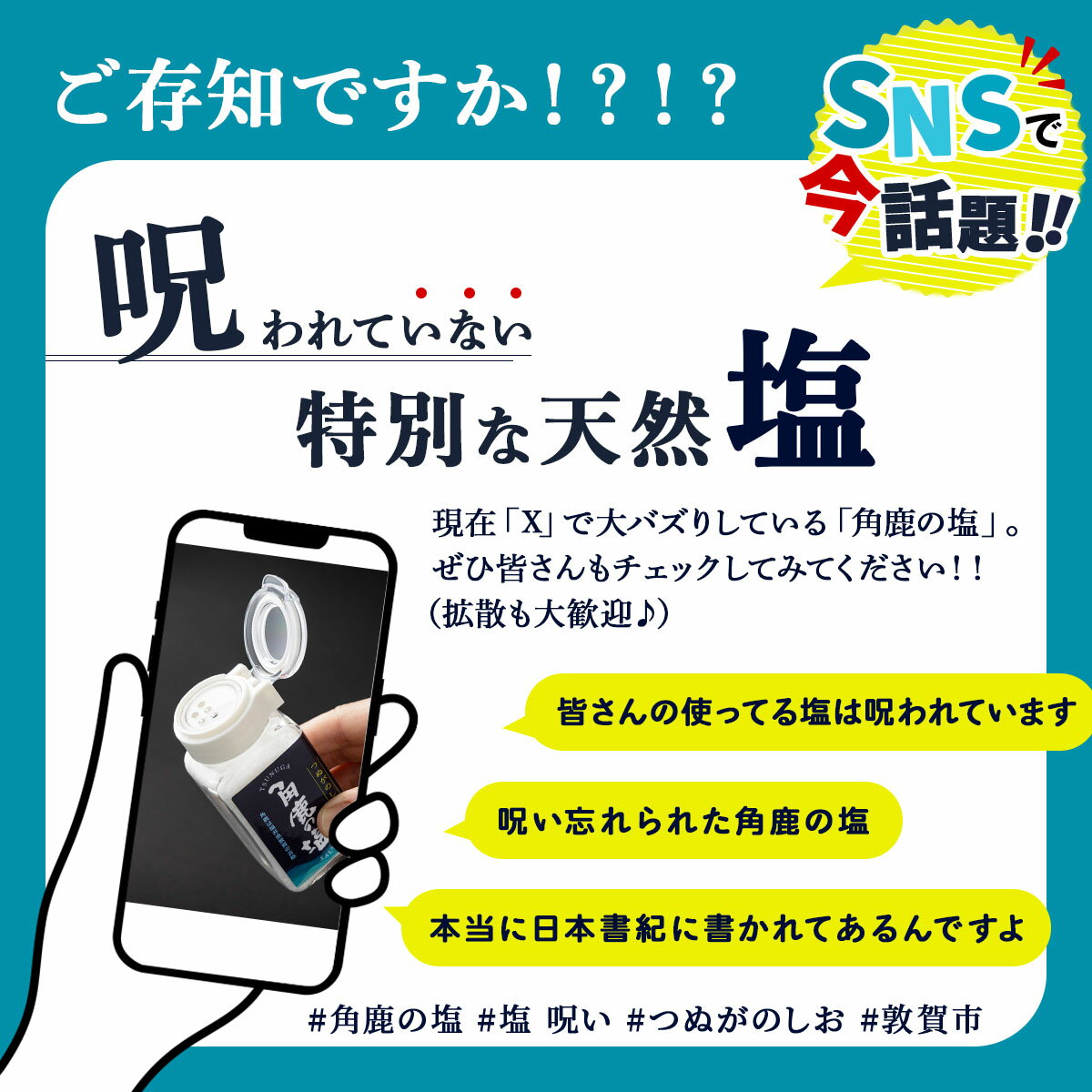 【ふるさと納税】★SNS で 話題沸騰★ 呪われていない 特別な塩 「角鹿の塩」 単品〜4点セット（塩・粗塩）[選べる種類・内容】【敦賀 塩 しお 粗塩 天然塩 天日塩 釜炊き 調味料 天皇の御食 日本書紀 人気 話題 急上昇 大バズり バズる お中元 お歳暮 ギフト 贈り物】 サムネイル2