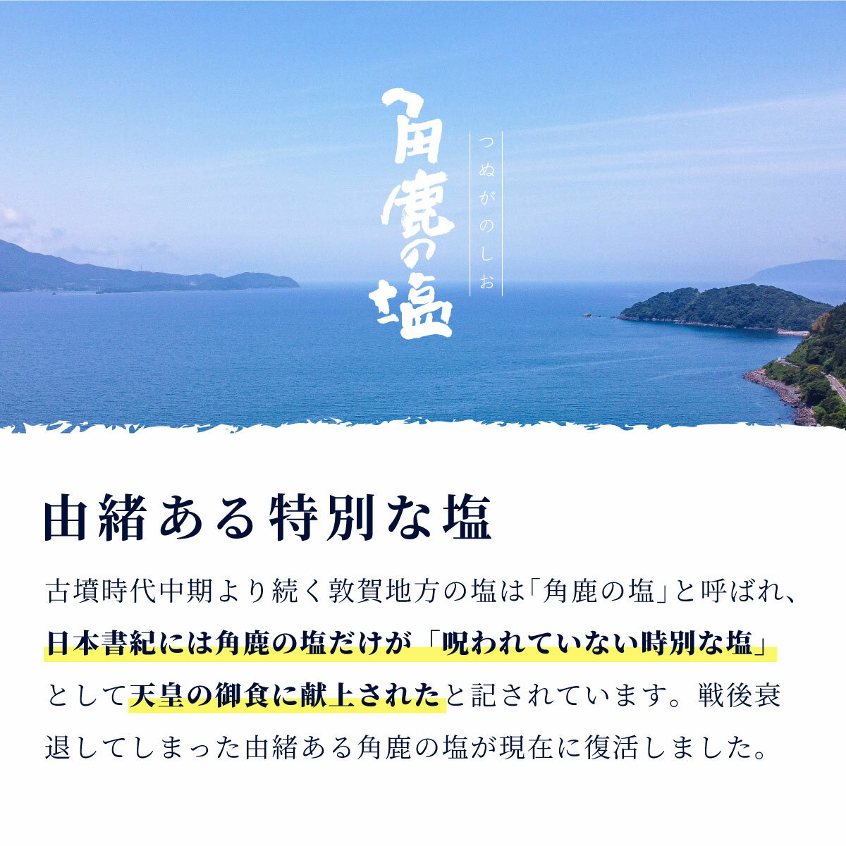 【ふるさと納税】★SNS で 話題沸騰★ 呪われていない 特別な塩 「角鹿の塩」 単品〜4点セット（塩・粗塩）[選べる種類・内容】【敦賀 塩 しお 粗塩 天然塩 天日塩 釜炊き 調味料 天皇の御食 日本書紀 人気 話題 急上昇 大バズり バズる お中元 お歳暮 ギフト 贈り物】 サムネイル3