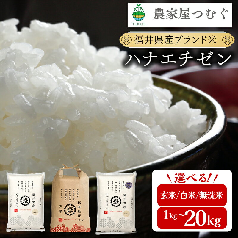 福井県産 ハナエチゼン 精米 / 無洗米 / 玄米 / 食べ比べセット ＜令和7年産 / 数量限定 ＞ [ 1kg / 5kg / 10kg / 20kg / 定期便 3〜12回 ]【米 コメ お米 白米 無洗米 玄米 ご飯 飯 華越前 ブランド米 国産 お中元 お歳暮 ギフト 贈り物 贈答 NEW 新規】