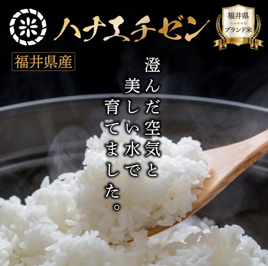 【ふるさと納税】福井県産 ハナエチゼン 精米 / 無洗米 / 玄米 / 食べ比べセット ＜令和7年産 / 数量限定 ＞ [ 1kg / 5kg / 10kg / 20kg / 定期便 3〜12回 ]【米 コメ お米 白米 無洗米 玄米 ご飯 飯 華越前 ブランド米 国産 お中元 お歳暮 ギフト 贈り物 贈答 NEW 新規】 - 画像2