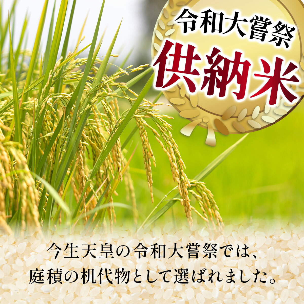 【ふるさと納税】＜令和7年産 / 数量限定 ＞ 福井県産 コシヒカリ 一等米 精米 5kg / 10kg【米 コメ お米 ブランド米 白米 精米 こしひかり 国産 北陸 5kg 10kg ご飯 ごはん 小分け 家庭用 ふるさと納税米】 - 画像2