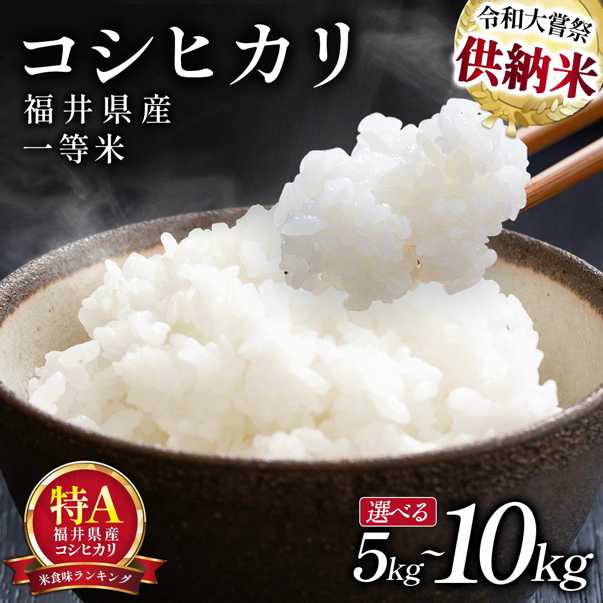 ＜令和7年産 / 数量限定 ＞ 福井県産 コシヒカリ 一等米 精米 5kg / 10kg【米 コメ お米 ブランド米 白米 精米 こしひかり 国産 北陸 5kg 10kg ご飯 ごはん 小分け 家庭用 ふるさと納税米】