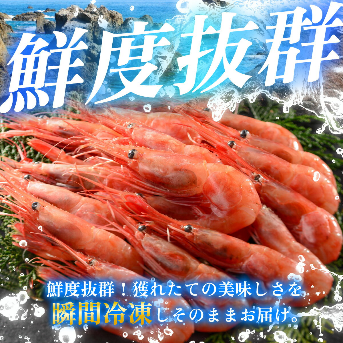 【ふるさと納税】【年内配送】【最速発送】子持ち甘えび 500g〜1kg【容量が選べる】 ｜ 甘エビ 海老 えび エビ 冷凍 アマエビ あまえび 甘海老 生食 刺身 産地直送 国産 人気 送料無料 福井県小浜市 【配送不可地域：北海道・沖縄・離島】 [BFAA048] サムネイル2