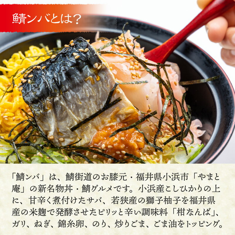 【ふるさと納税】【惣菜・べんとうグランプリ2025優秀賞受賞！】おうちで鯖ンバ 6食入り｜冷凍丼 簡単調理 さば 鯖 丼 ご当地 お取り寄せ ビビンバ 時短 手軽 レンジ調理 [A-064001] 【配送不可地域：北海道・沖縄・離島】 [BFBP002] - 画像2