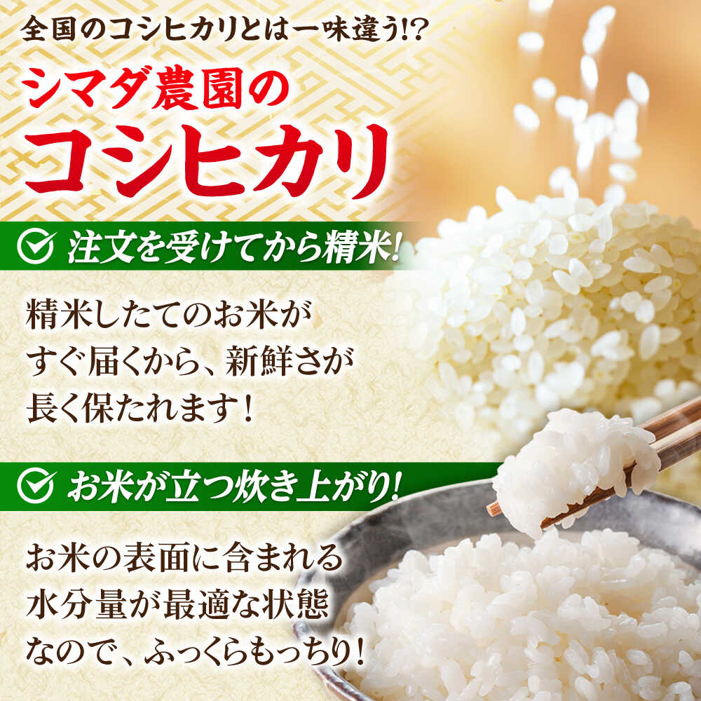 【ふるさと納税】【新米】【令和7年産】福井県産こしひかり 精米 5kg（ビニール袋）＼選べる単品・定期便回数／ お米 米 白米 こめコシヒカリ 小浜市 / シマダ農園[BFAV001 BFAV009 BFAV010] サムネイル3