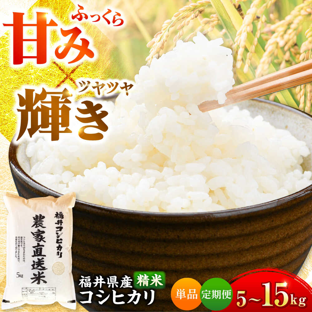 【新米】【令和7年産】福井県産こしひかり 精米 5kg（ビニール袋）＼選べる単品・定期便回数／ お米 米 白米 こめコシヒカリ 小浜市 / シマダ農園[BFAV001 BFAV009 BFAV010]