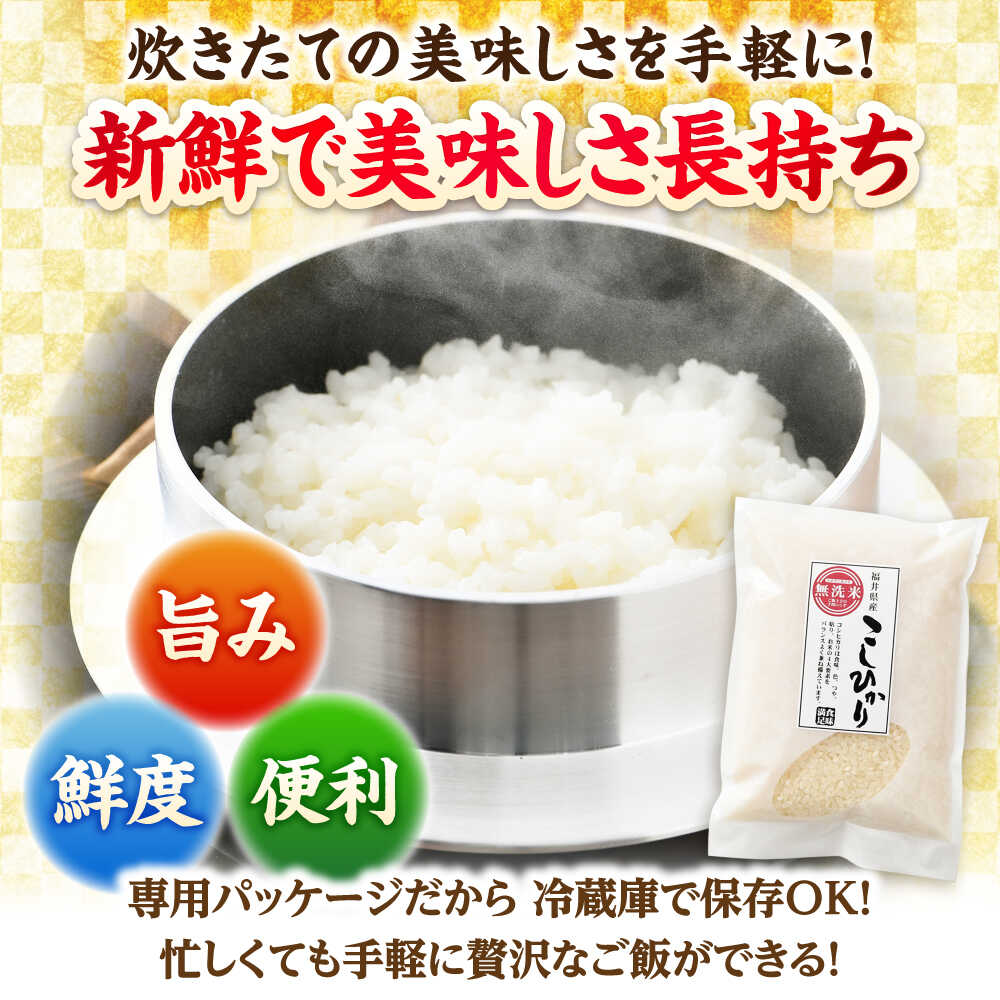 【ふるさと納税】【令和7年産】無洗米 福井県産こしひかり 300g(約2合) × 10パック 計3kg/ コシヒカリ 白米 精米 小浜市 / シマダ農園 [BFAV003] - 画像2