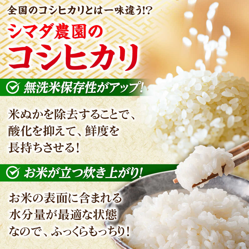 【ふるさと納税】【令和7年産】無洗米 福井県産こしひかり 300g(約2合) × 10パック 計3kg/ コシヒカリ 白米 精米 小浜市 / シマダ農園 [BFAV003] - 画像3