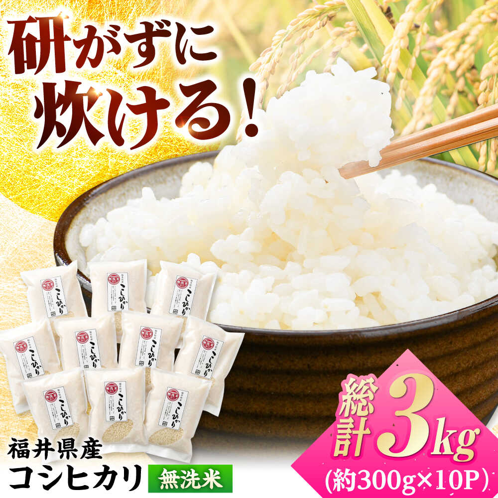 【令和7年産】無洗米 福井県産こしひかり 300g(約2合) × 10パック 計3kg/ コシヒカリ 白米 精米 小浜市 / シマダ農園 [BFAV003]