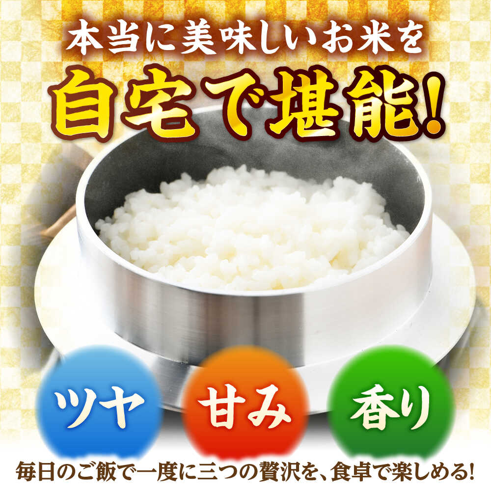 【ふるさと納税】【令和7年産】真空パック 福井県産こしひかり 300g(約2合) × 10パック 計3kg / 長期保存 コシヒカリ 白米 精米 小浜市 / シマダ農園 [BFAV004] - 画像2