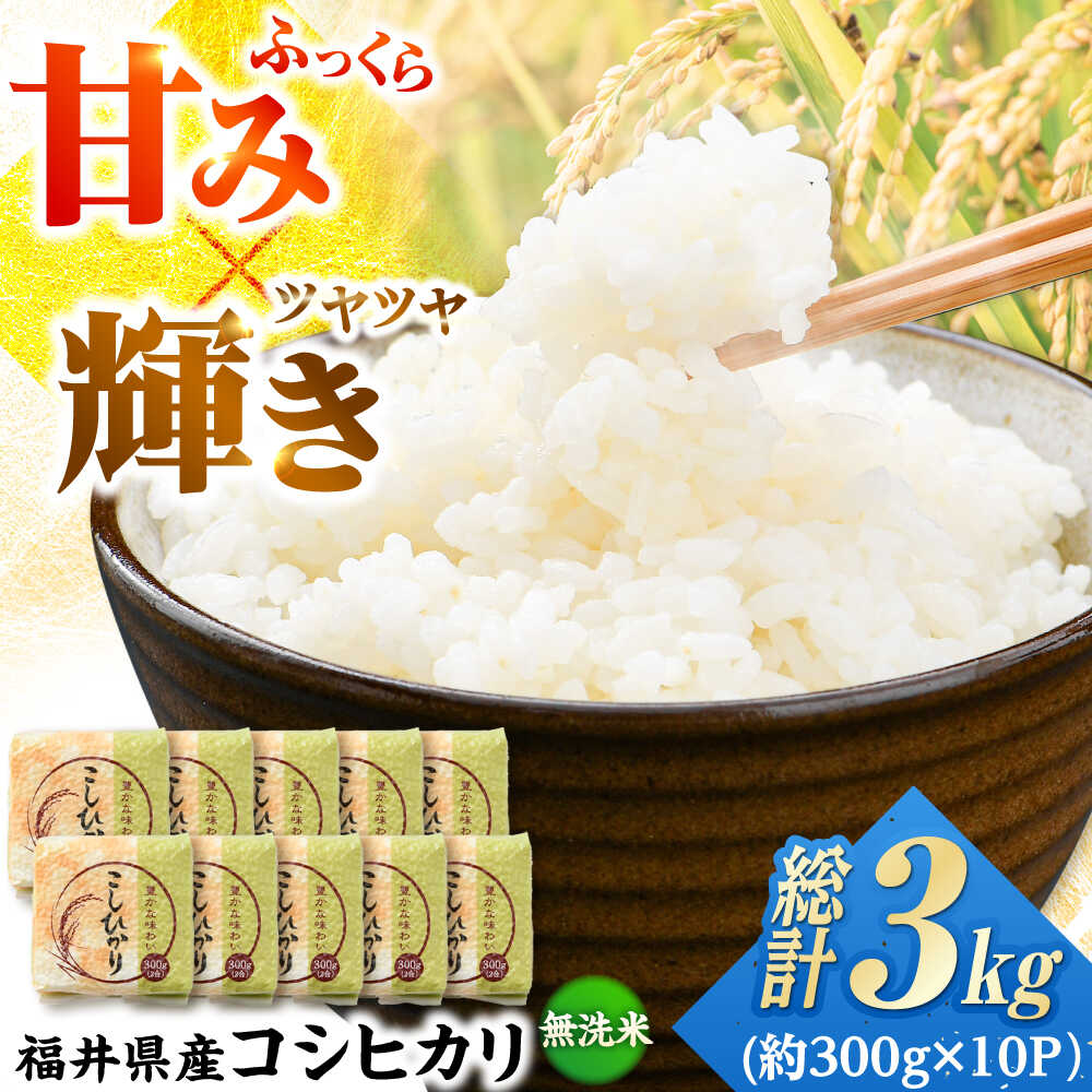 【令和7年産】真空パック 福井県産こしひかり 300g(約2合) × 10パック 計3kg / 長期保存 コシヒカリ 白米 精米 小浜市 / シマダ農園 [BFAV004]