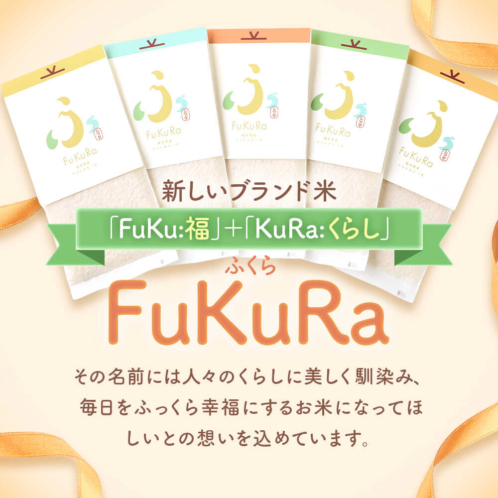 【ふるさと納税】【令和7年産】『FuKuRa』無洗米真空パックこしひかり 1号パック｜fukura ふくら シマダ 小分け 便利 無洗米 コシヒカリ ブランド米 真空 米 1合 送料無料 小浜市 / シマダ農園 [BFAV005] [BFAV006] [BFAV007] [BFAV008] - 画像2