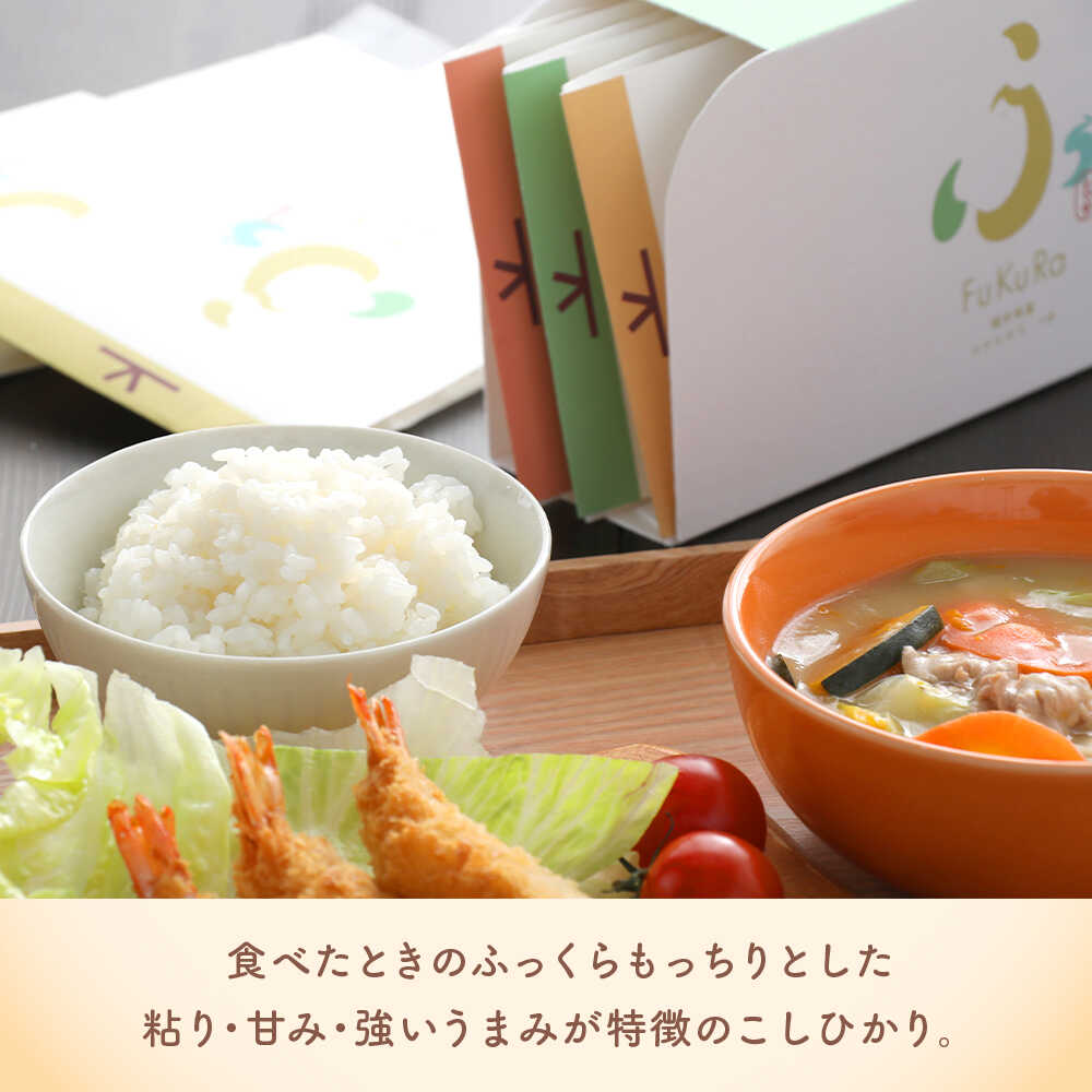 【ふるさと納税】【令和7年産】『FuKuRa』無洗米真空パックこしひかり 1号パック｜fukura ふくら シマダ 小分け 便利 無洗米 コシヒカリ ブランド米 真空 米 1合 送料無料 小浜市 / シマダ農園 [BFAV005] [BFAV006] [BFAV007] [BFAV008] - 画像3