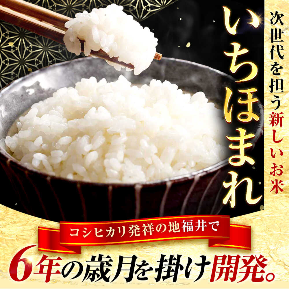【ふるさと納税】【選べる定期便回数】福井県産 いちほまれ 精米 10kg 県産ブランド米 / コメ 白米 米 小浜市 / 梅田東米穀店[BFEK032] - 画像3