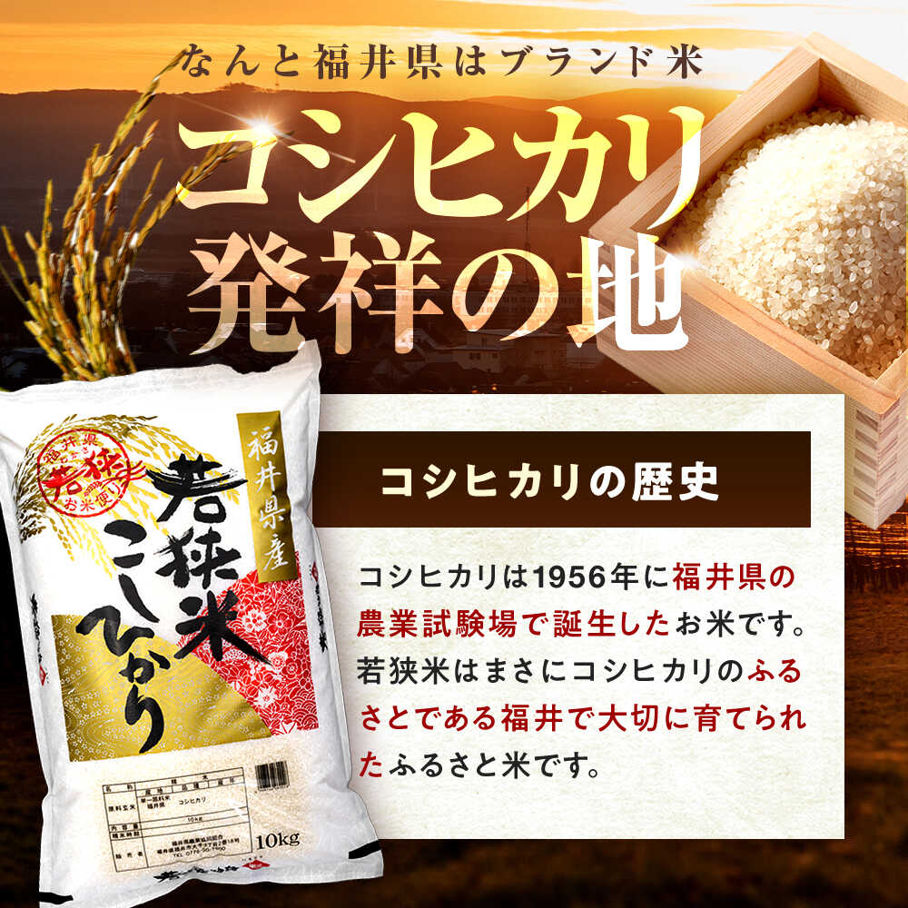 【ふるさと納税】【2回定期便】【福井県産】 1回目：コシヒカリ 白米 10kg 2回目： いちほまれ 白米 10kg 福井県米 / コシヒカリ発祥 ブランド 特A常連 小浜市 / 若狭ふれあい市場[BFEL052] - 画像3
