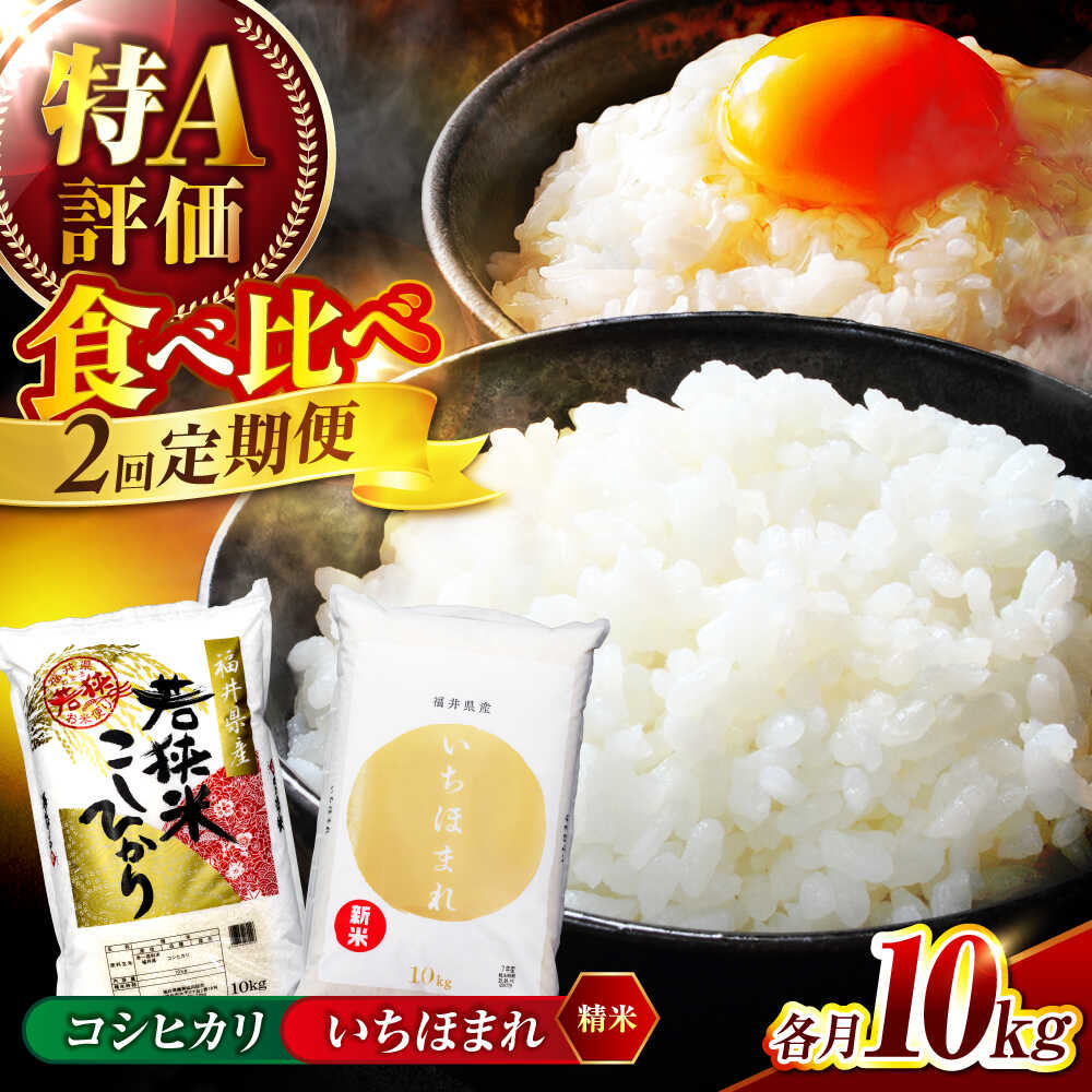 【2回定期便】【福井県産】 1回目：コシヒカリ 白米 10kg 2回目： いちほまれ 白米 10kg 福井県米 / コシヒカリ発祥 ブランド 特A常連 小浜市 / 若狭ふれあい市場[BFEL052]