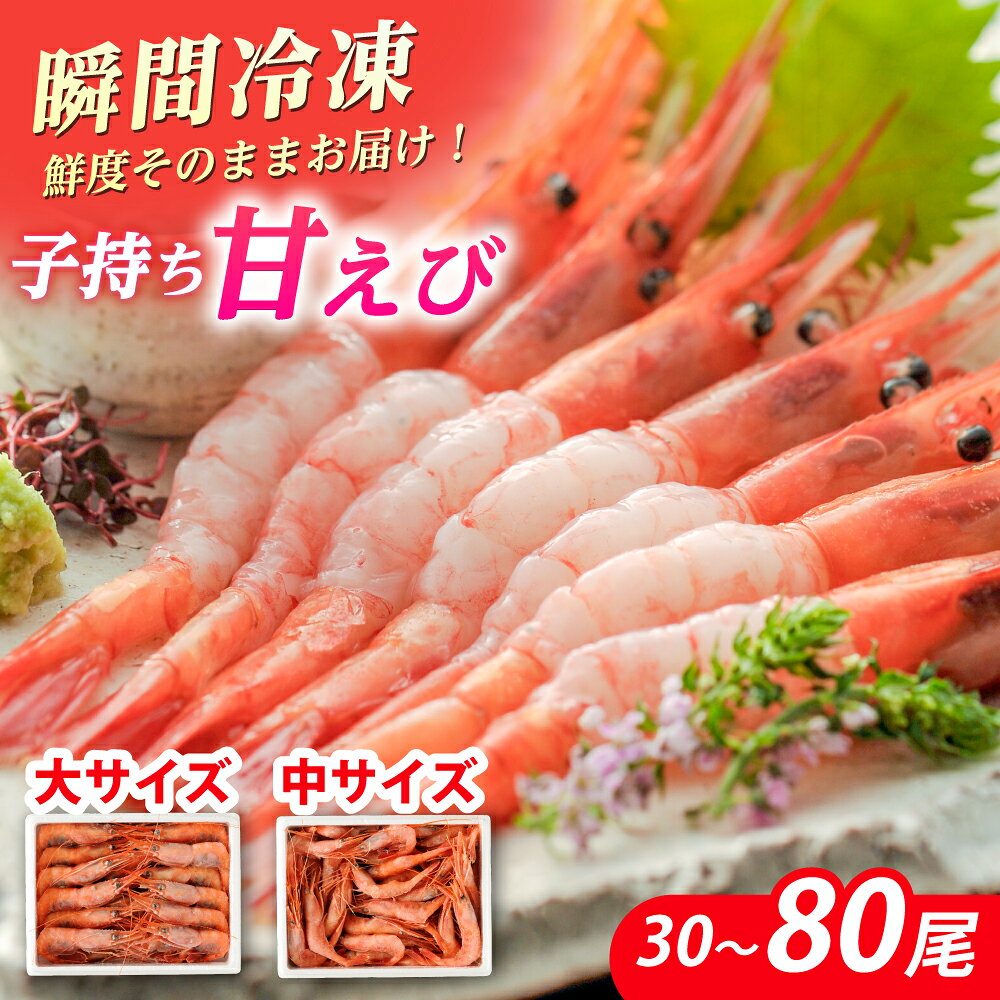 子持ち 甘えび（冷凍・刺身用）500g〜1kg 【最速発送】【容量が選べる】 ｜ 甘エビ 海老 えび エビ 冷凍 アマエビ あまえび 甘海老 生食 刺身 産地直送 国産 人気 送料無料 福井県小浜市 【配送不可地域：北海道・沖縄・離島】 [BFAA048]