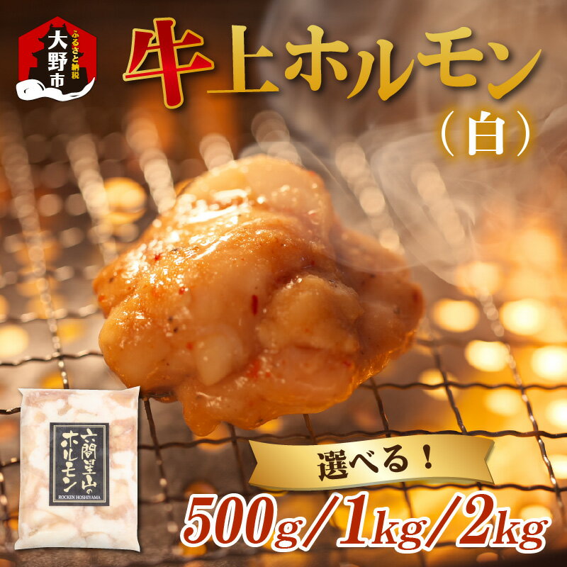 ホルモン の 老舗 六間星山 の 牛上ホルモン（白）500g／1kg／2kg [A-026002] | 国産 豪州産 秘伝 タレ漬け 星山 焼肉 バーベキュー ホルモン鍋 とんちゃん 鉄板焼 BBQ もつ 味付け肉 ビールのお供 網焼き 牛肉 肉 ハイボール 焼肉店 ホルモン焼き 送料無料