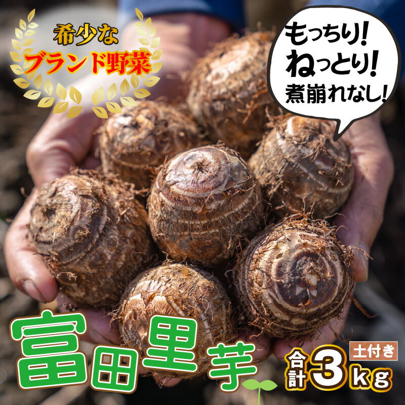 【ふるさと納税】【先行予約】希少！とみた里芋 3kg ねっとりまろやか煮崩れなし！【年内出荷】[A-001012]| 里芋 野菜 根菜 - 画像2
