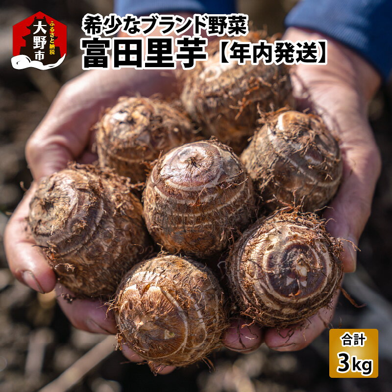 【先行予約】希少！とみた里芋 3kg ねっとりまろやか煮崩れなし！【年内出荷】[A-001012]| 里芋 野菜 根菜