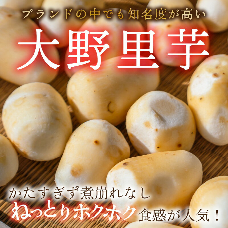 【ふるさと納税】簡単手間なし！冷凍のまま調理！大野の里芋の洗い子【冷凍】 1kg × 2袋 計2kg [A-001015] | ねっとりホクホク もっちり 小分け 使いやすさ 冷凍 芋 イモ サトイモ 里芋 野菜 和食 便利 皮なし 送料無料 - 画像3