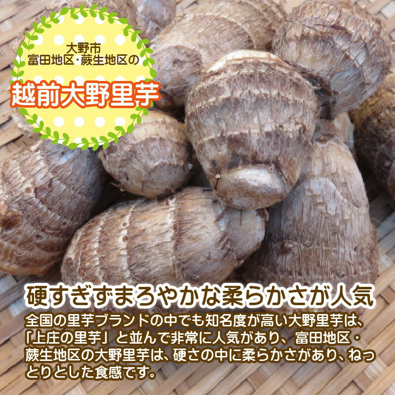 【ふるさと納税】【先行予約】越前大野里芋 3kg ねっとりうまい煮崩れしない！【2026年3月中旬～4月上旬出荷】[A-001054] - 画像3
