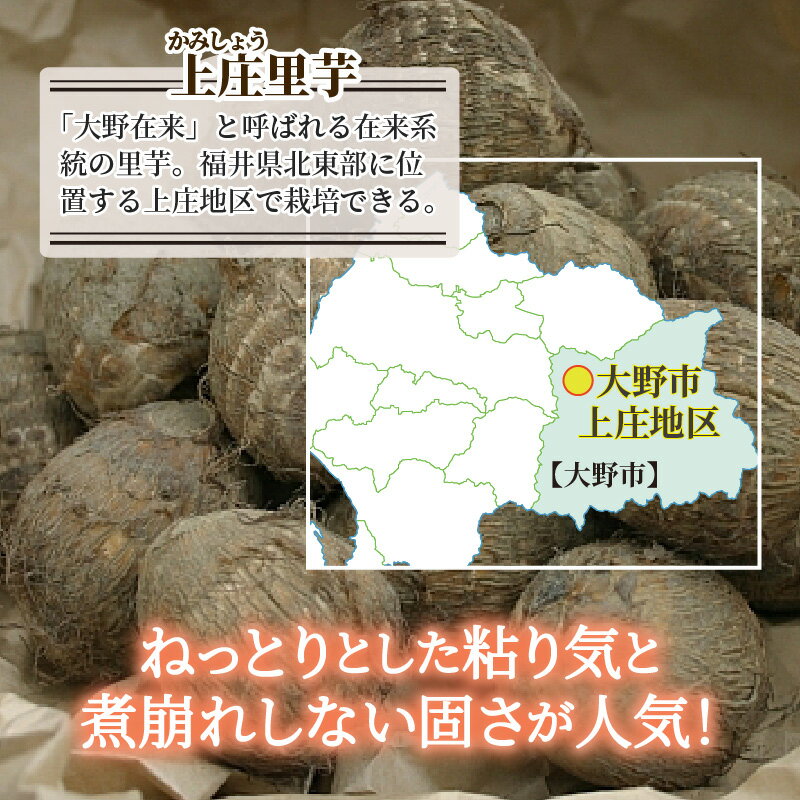 【ふるさと納税】日本の美味い里芋！秋の味覚 上庄里芋 3kg【出荷：2026年3月～】[A-001056] - 画像3