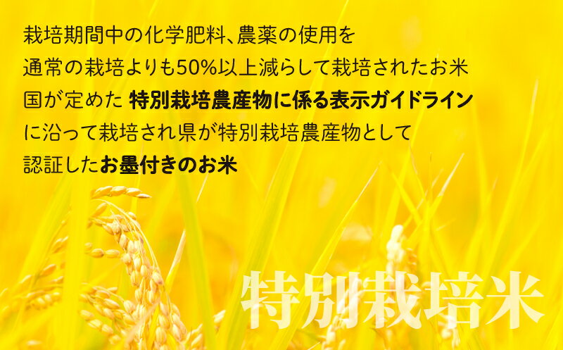 【ふるさと納税】【選べる精米方法・内容量・お届け回数】【令和7年産】減農薬・減化学肥料 「特別栽培米」こしひかり－地球にやさしいお米－[B-003007]　 米定期便 福井県 福井 大野市 - 画像3