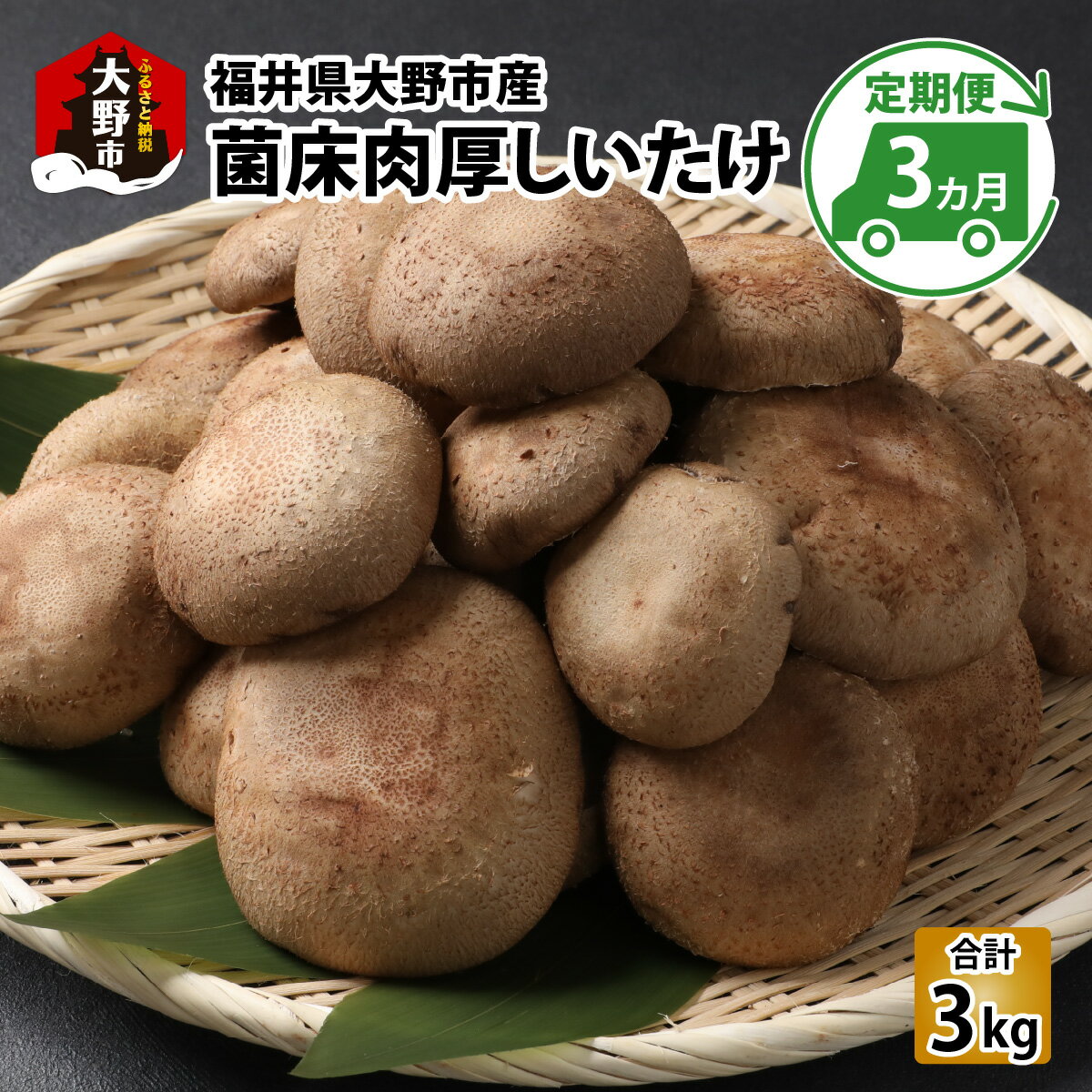 【3ヶ月定期便】菌床肉厚しいたけ（福井県大野市産）1kg×3回 計3kg[B-003013］