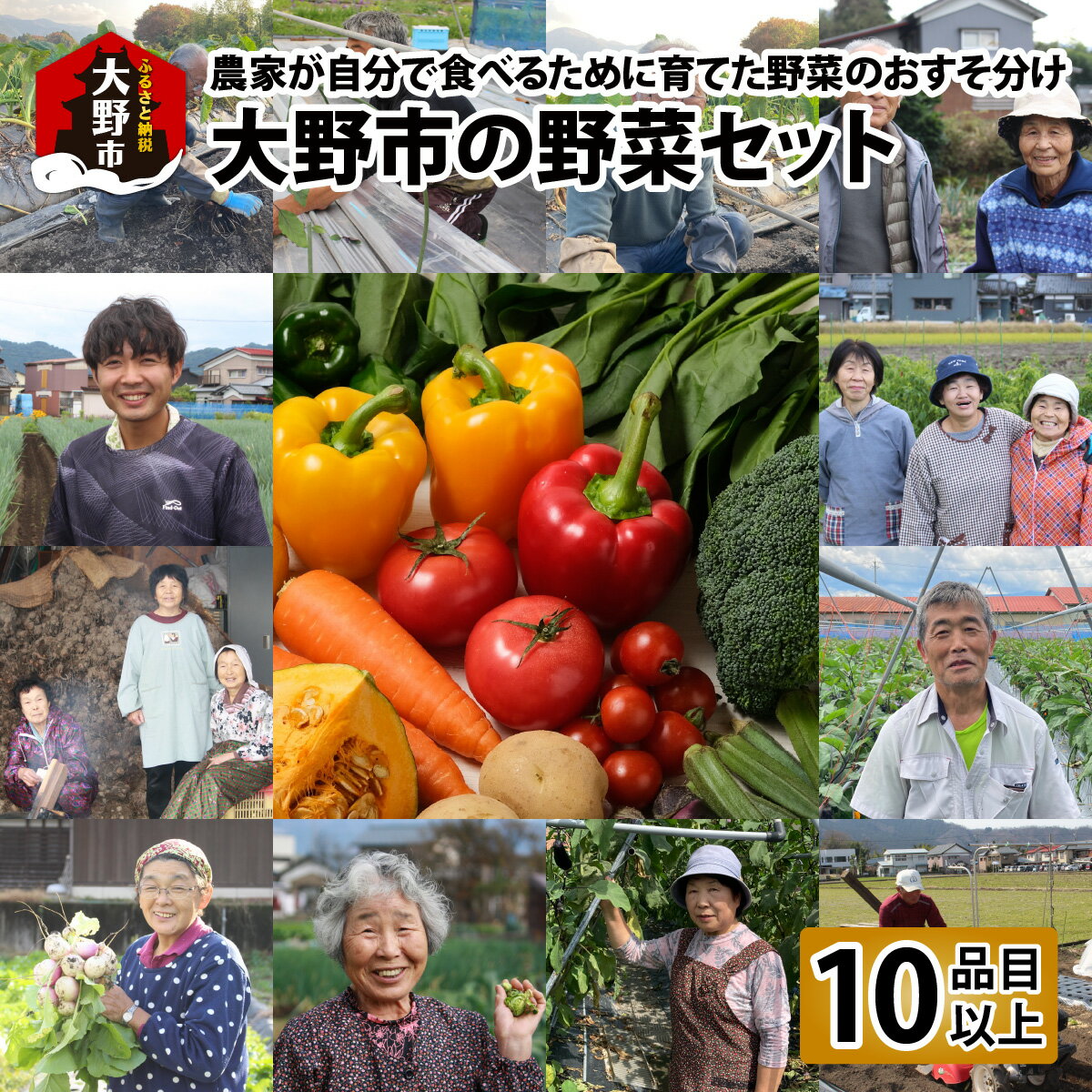 【先行予約】【農家直送】「大野市の野菜セット」《農家が自分で食べるために育てた野菜のおすそ分け》[A-003017]
