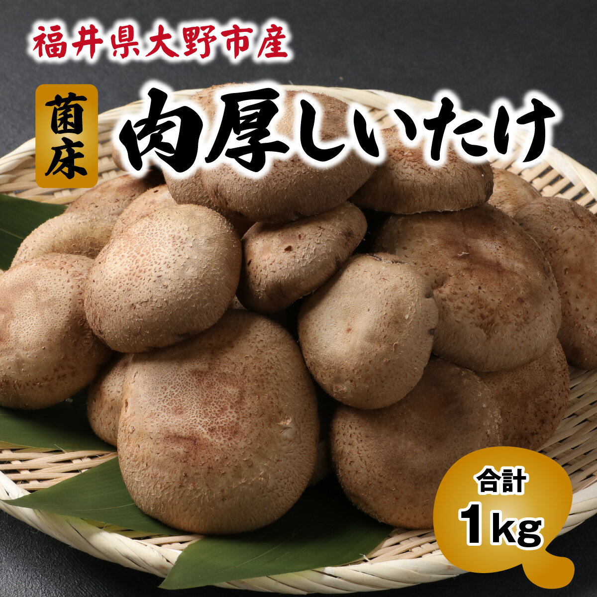 【ふるさと納税】菌床肉厚しいたけ（福井県大野市産）1kg[A-003019] - 画像2