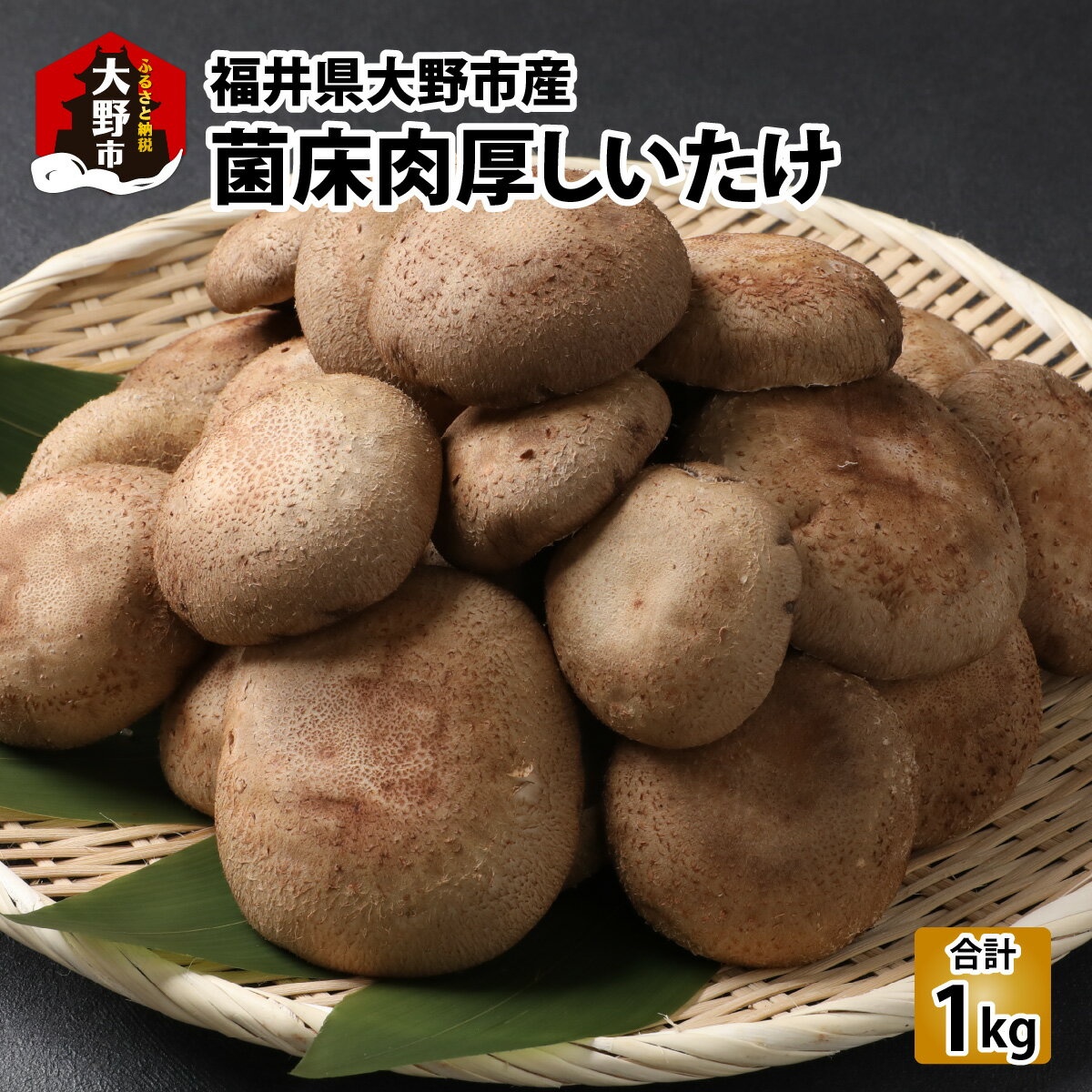 菌床肉厚しいたけ（福井県大野市産）1kg[A-003019]