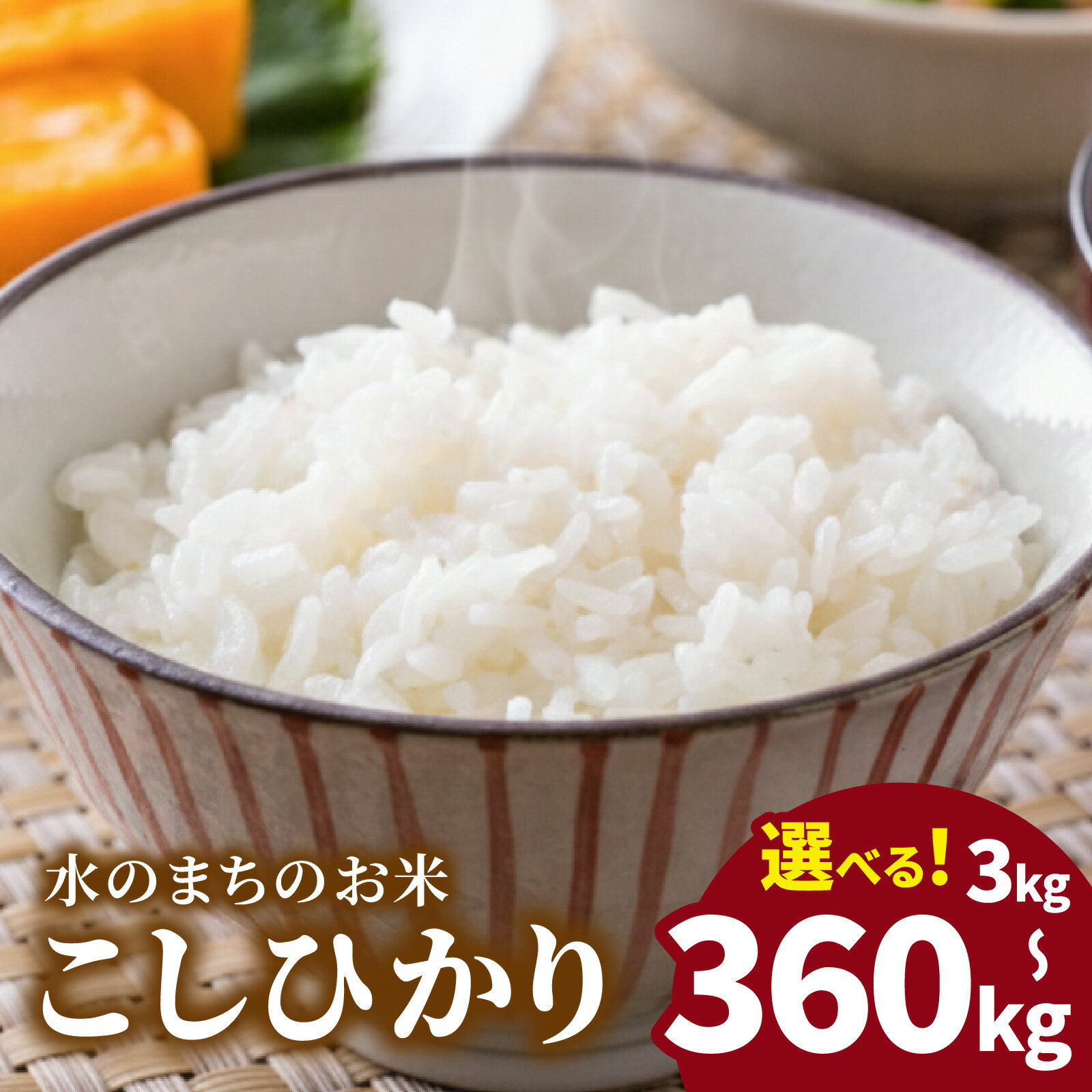 【選べる内容量・お届け回数】【令和7年産】こしひかり（福井県大野市産）エコファーマー米（白米）・コシヒカリ [A-003004]
