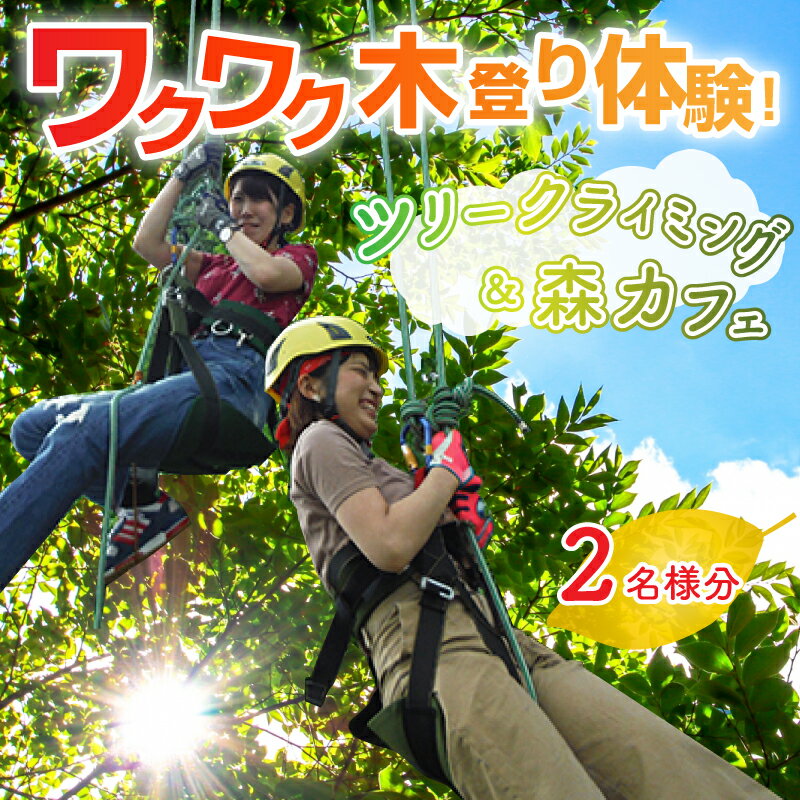 【ふるさと納税】ワクワク 木登り体験！ツリークライング＆森カフェ2名様分【体験チケット・クライミング・木登り】 [B-010001] - 画像2