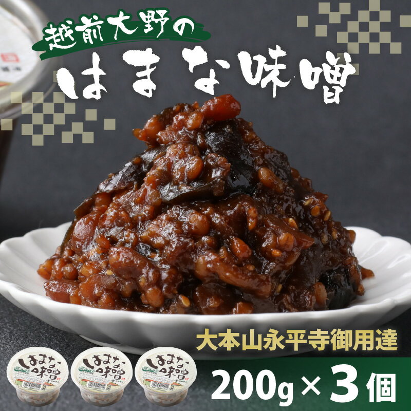 【ふるさと納税】【大本山永平寺御用達】越前大野の「はまなみそ 3個入り 詰合せ」【2025年10月中旬より順次発送】[A-051007] | 味噌 おかず おかずみそ 山の味 みそ ご飯のお供 お土産 プレゼント 送料無料 サムネイル2