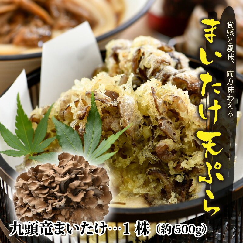 【ふるさと納税】九頭竜まいたけ と カレー ・ ごはんの素 など 加工品 セット (Cセット)[A-038006]| まいたけ 乾燥 炊き込みご飯 きのこ 舞茸 香り 最上級 歯ごたえ レトルトカレー 天ぷら おすすめ 加工品 加工食品 九頭竜 秋の味覚 冷凍保存 カレー 山菜 - 画像3